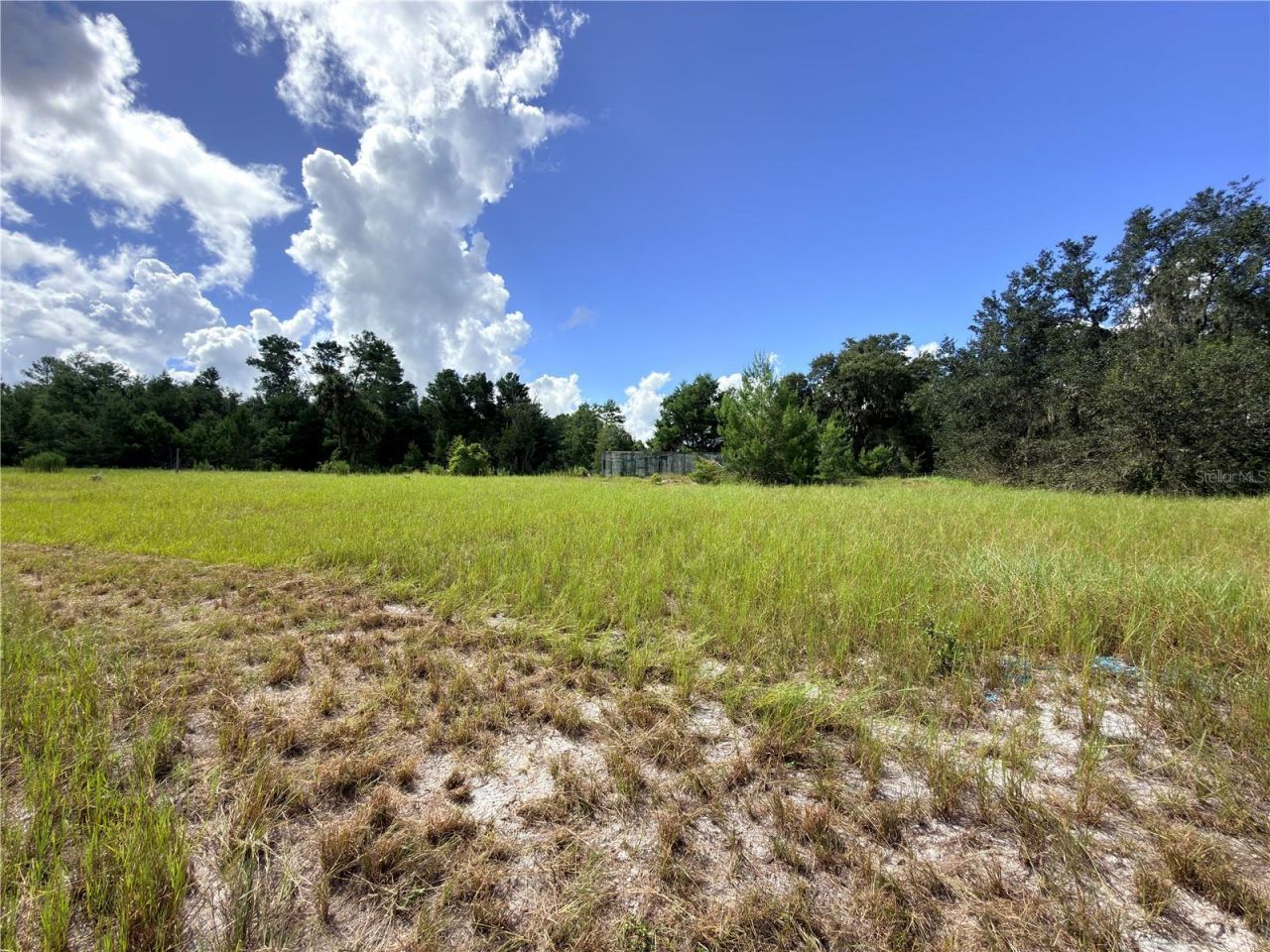 41938 Pine Valley Drive , Paisley, FL 32767 Photo