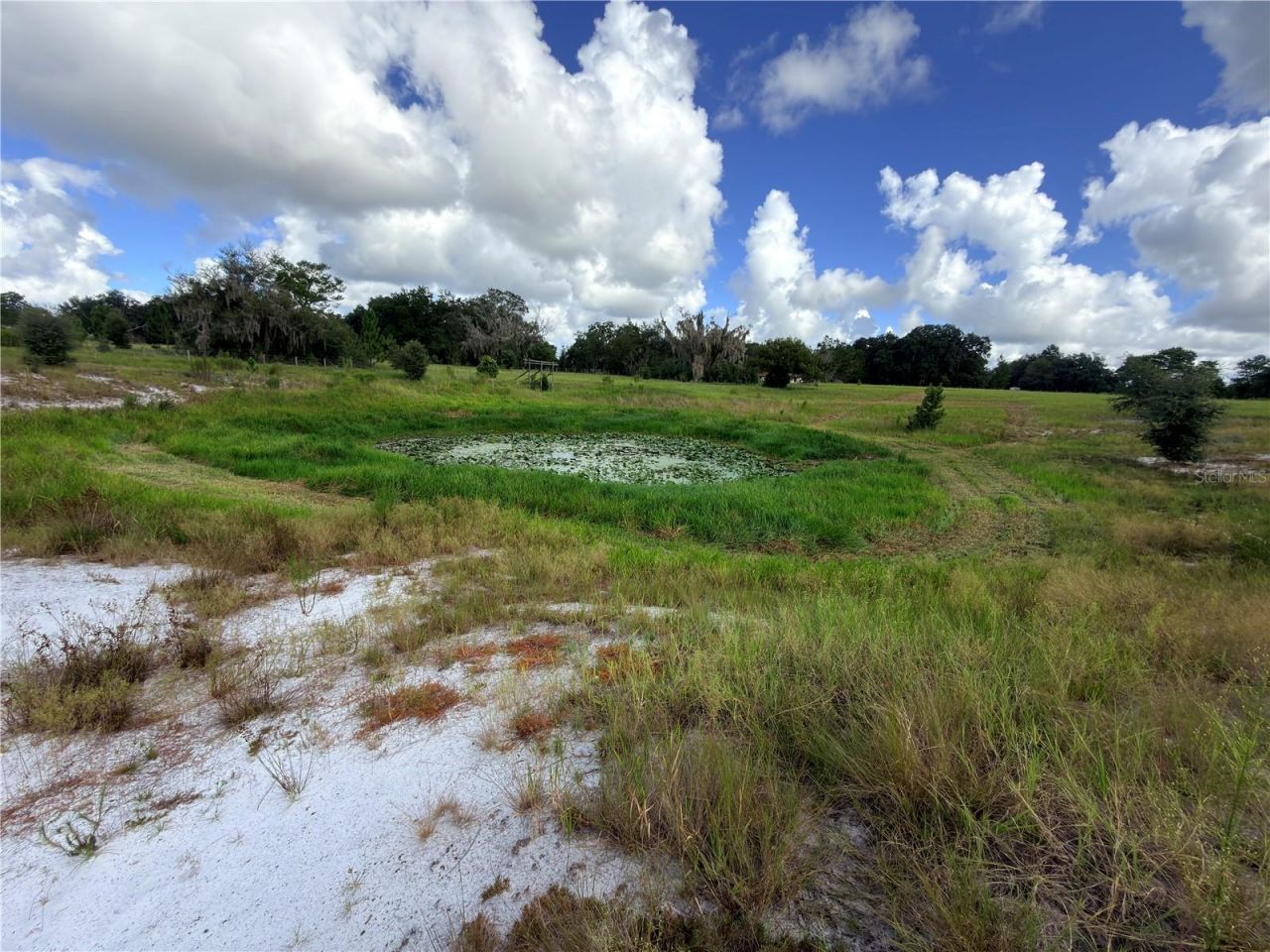 41938 Pine Valley Drive , Paisley, FL 32767 Photo