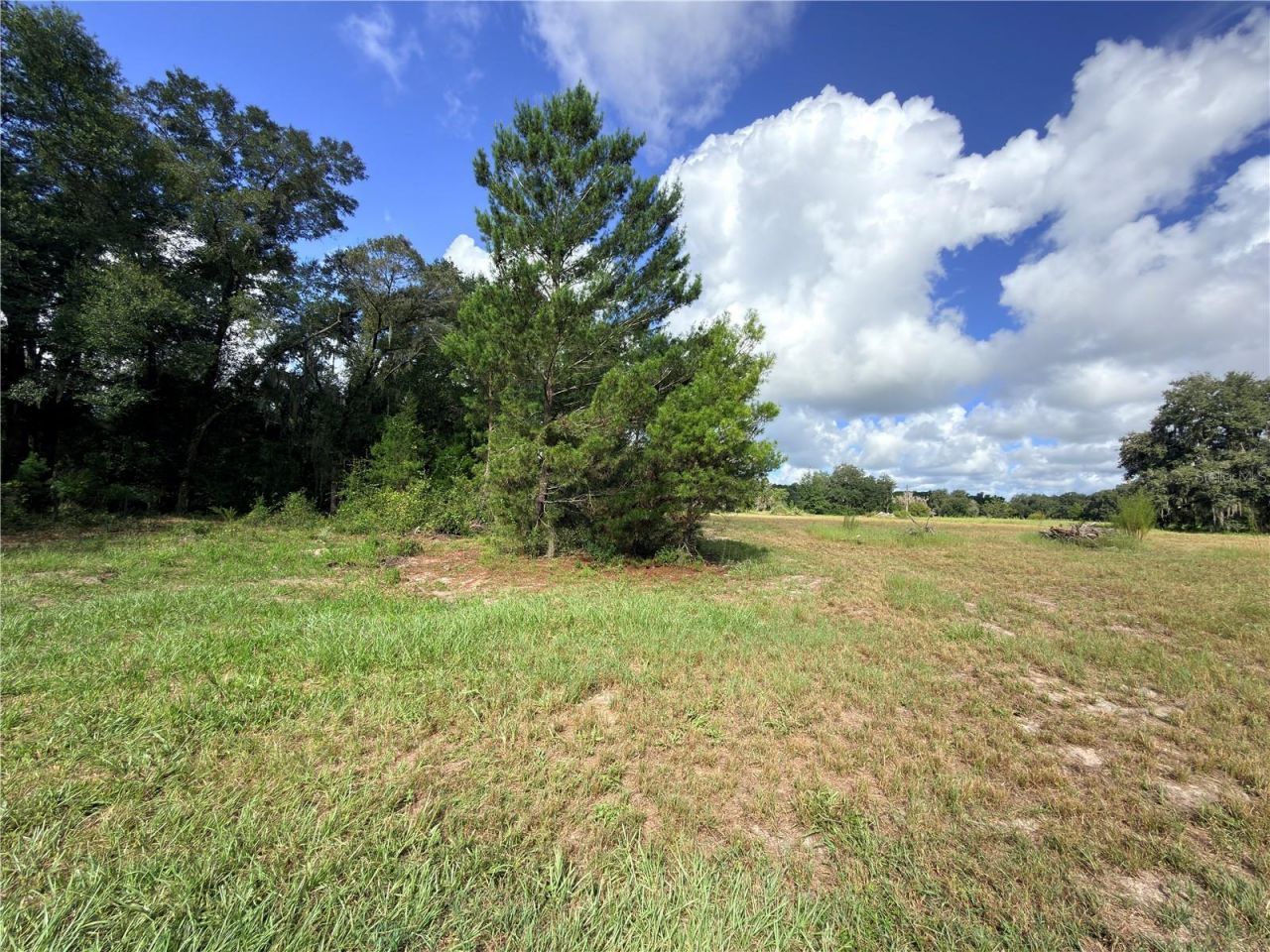 41938 Pine Valley Drive , Paisley, FL 32767 Photo