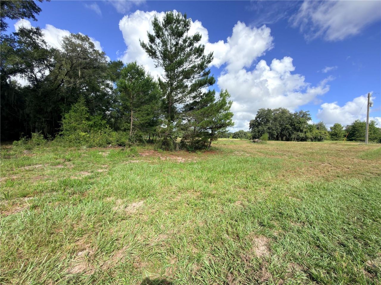 41938 Pine Valley Drive , Paisley, FL 32767 Photo