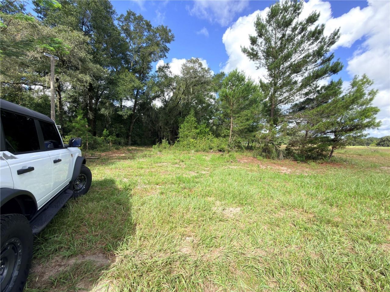41938 Pine Valley Drive , Paisley, FL 32767 Photo