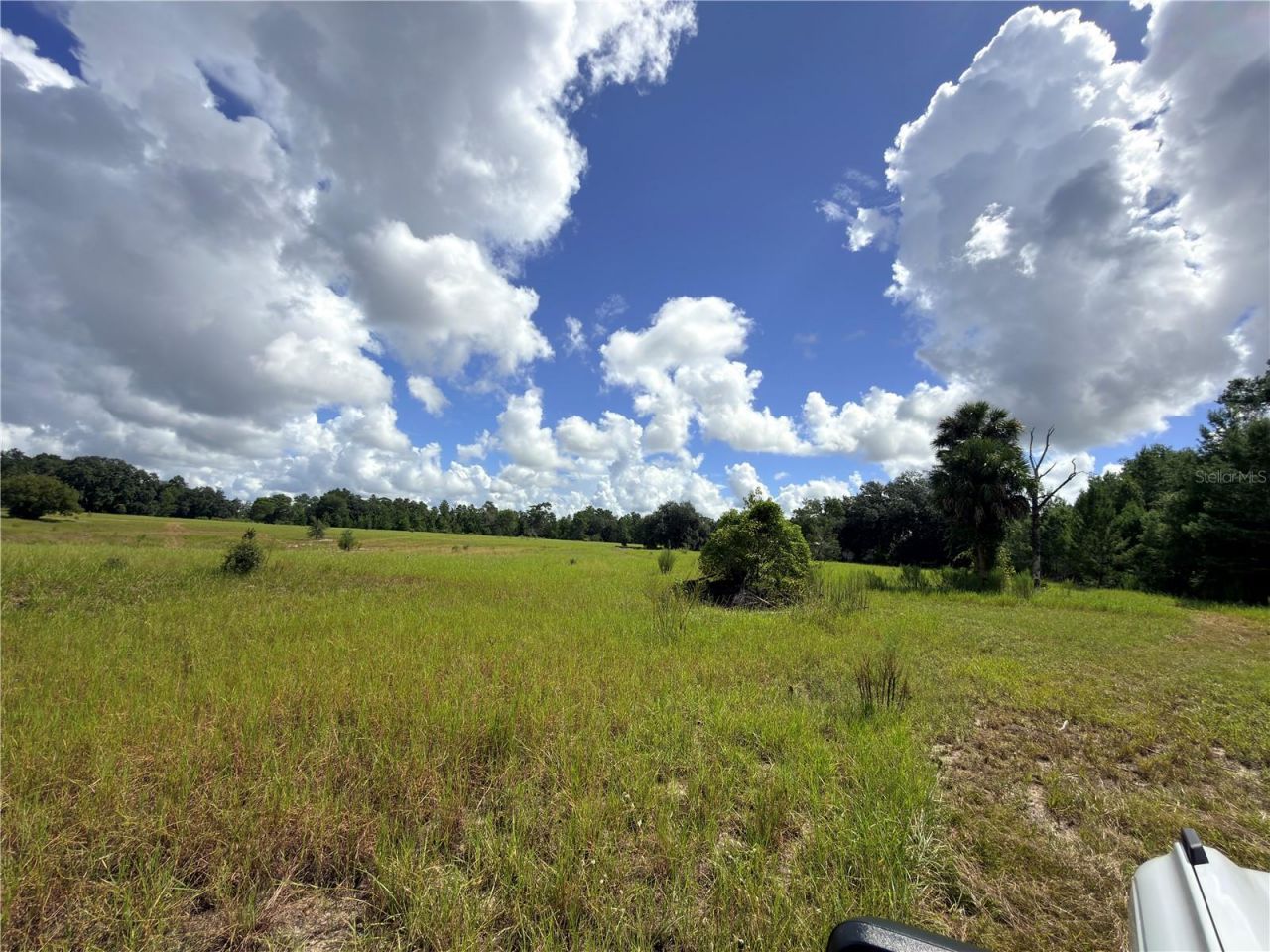 41938 Pine Valley Drive , Paisley, FL 32767 Photo