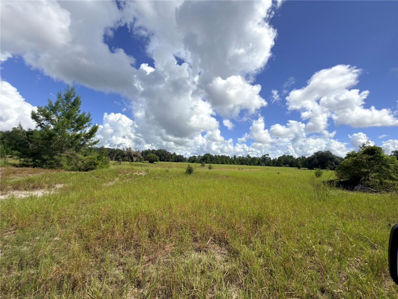 41938 Pine Valley Drive , Paisley, FL 32767 Photo