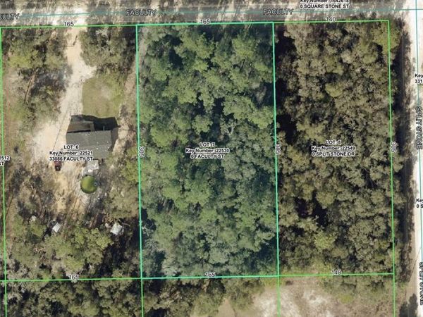 33104 FACULTY STREET , WEBSTER, FL 33597