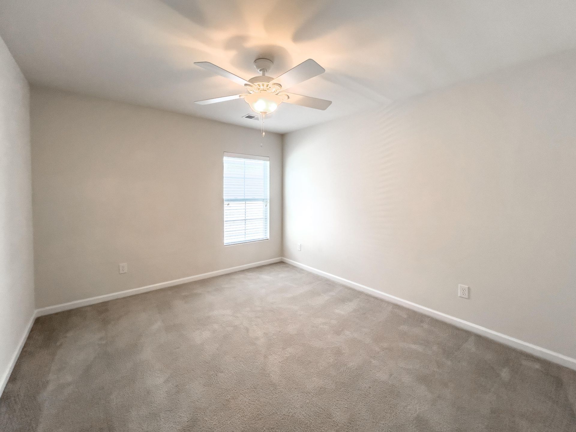 3710 Raddison Lane Photo 13
