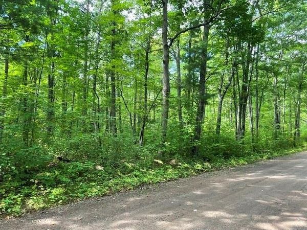 0 Dixon Avenue, Hayward, WI 54843