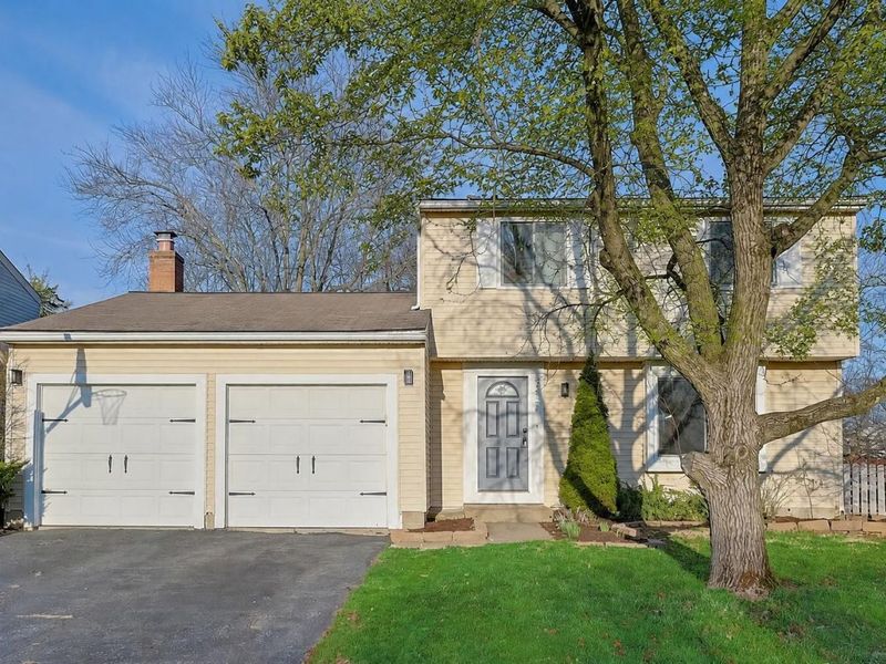 8727 Winooski Street, Powell, OH 43065 Photo 1