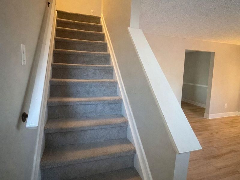 8727 Winooski Street, Powell, OH 43065 Photo 11