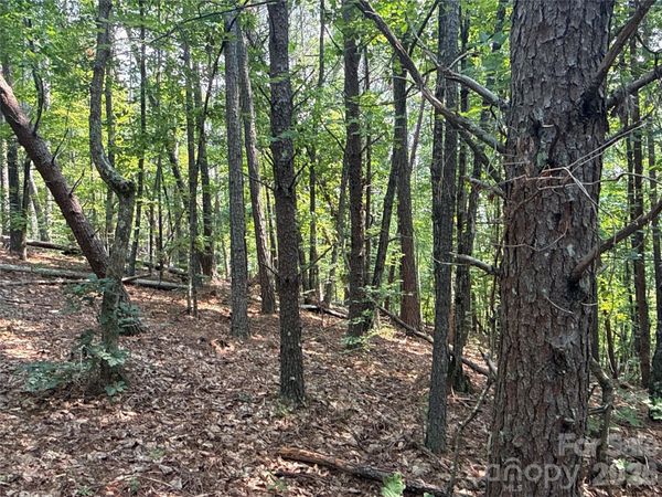 242 Golden Creek Ridge , Union Mills, NC 28167