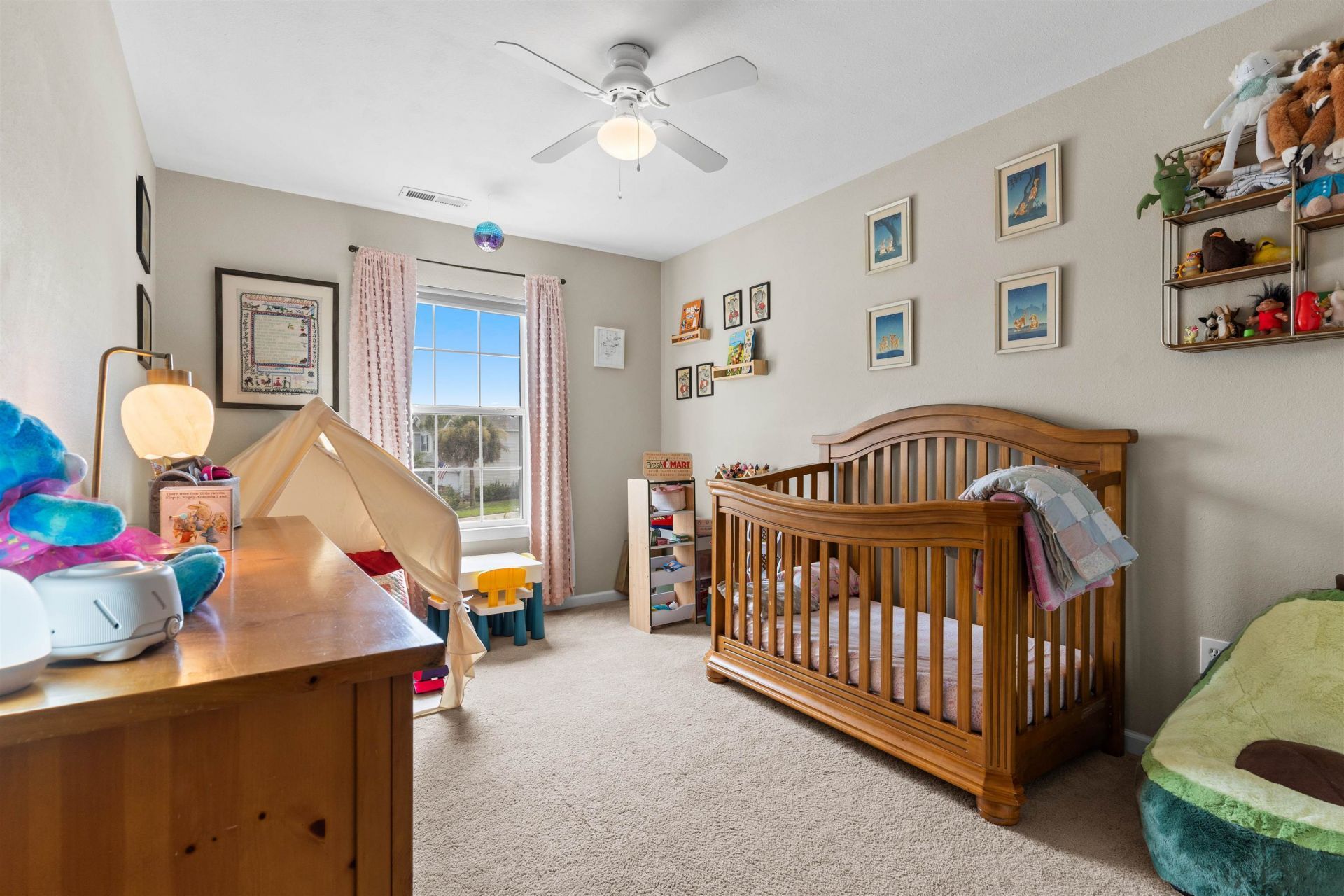 480 Dandalion Ln. Photo 14