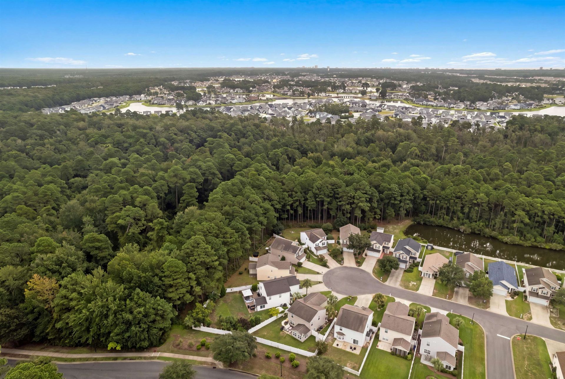 480 Dandalion Ln. Photo 41
