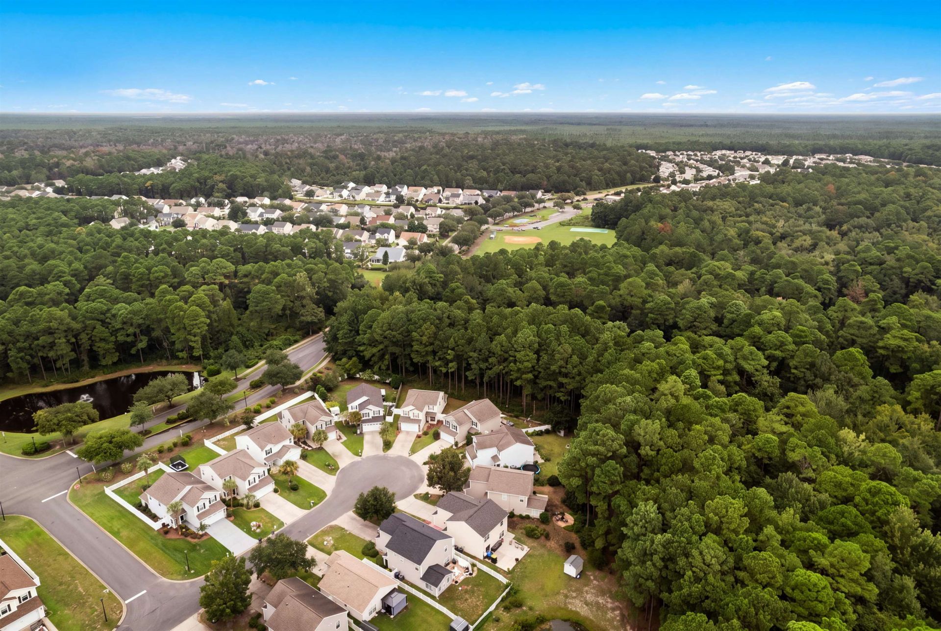 480 Dandalion Ln. Photo 46