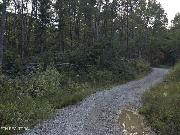 Lot#9 Mill Creek Rd, Sunbright, TN 37872