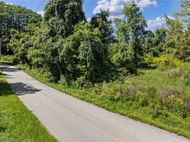 55541 Barnes Road, Martins Ferry, OH 43935 Photo 4