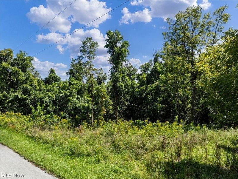 55541 Barnes Road, Martins Ferry, OH 43935 Photo 7