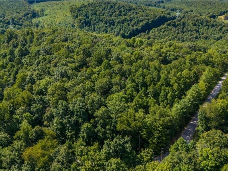 3508 Left Fork Road, Lucasville, OH 45648 Photo 11