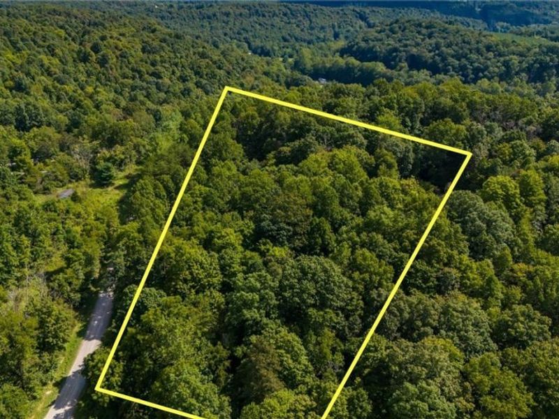 3508 Left Fork Road, Lucasville, OH 45648 Photo 12