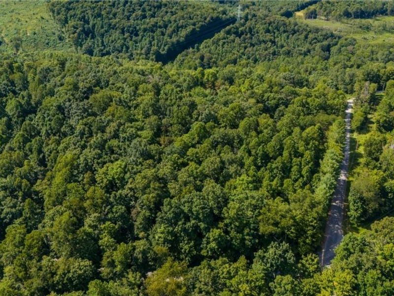 3508 Left Fork Road, Lucasville, OH 45648 Photo 13