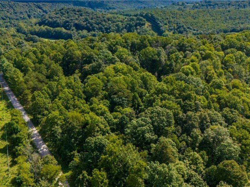 3508 Left Fork Road, Lucasville, OH 45648 Photo 14