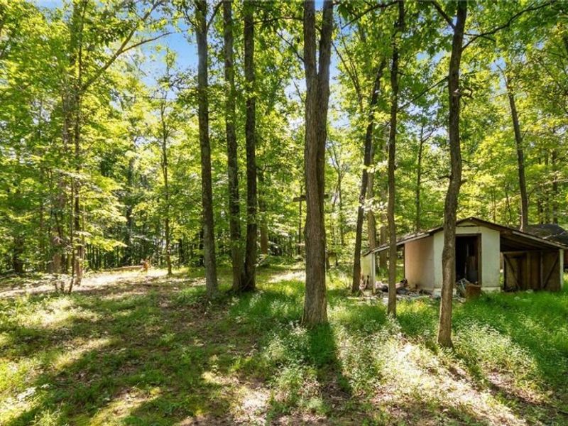 3508 Left Fork Road, Lucasville, OH 45648 Photo 3