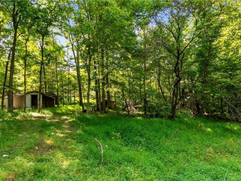 3508 Left Fork Road, Lucasville, OH 45648 Photo 4