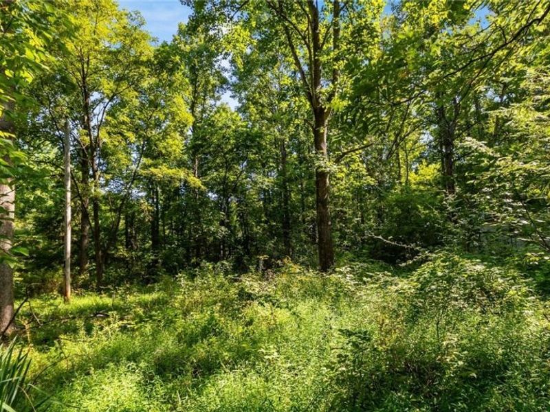 3508 Left Fork Road, Lucasville, OH 45648 Photo 5