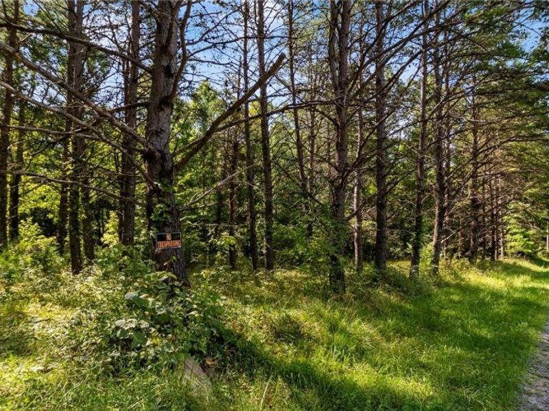 3508 Left Fork Road, Lucasville, OH 45648 Photo 6