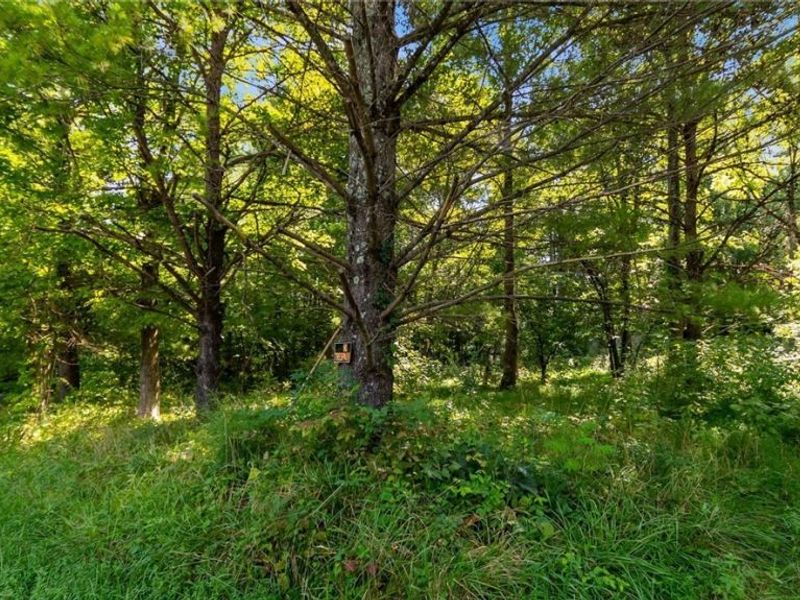 3508 Left Fork Road, Lucasville, OH 45648 Photo 7