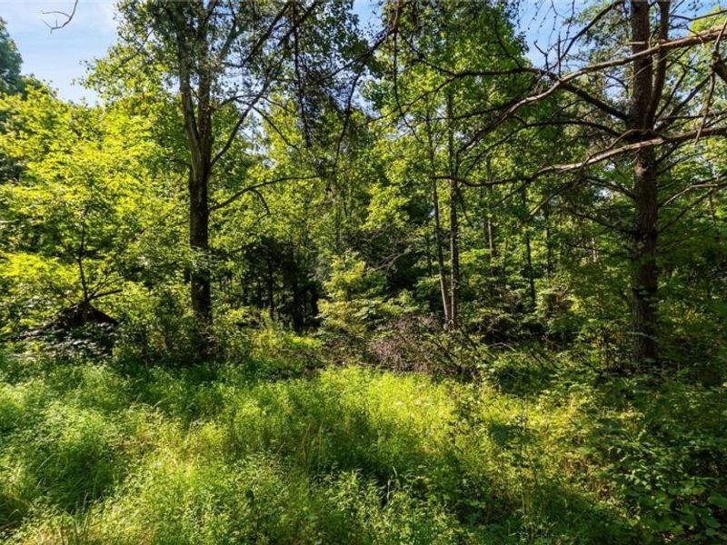 3508 Left Fork Road, Lucasville, OH 45648 Photo 9
