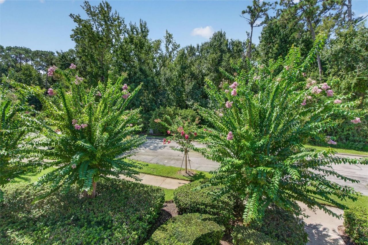760 Centervale Drive , Unit 201, Celebration, FL 34747 Photo
