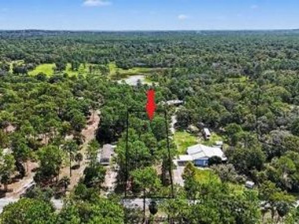 1393 S CANDLENUT AVENUE , HOMOSASSA, FL 34448