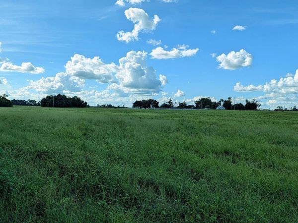 0 Chestnut Lane, Greenwood, FL 32443