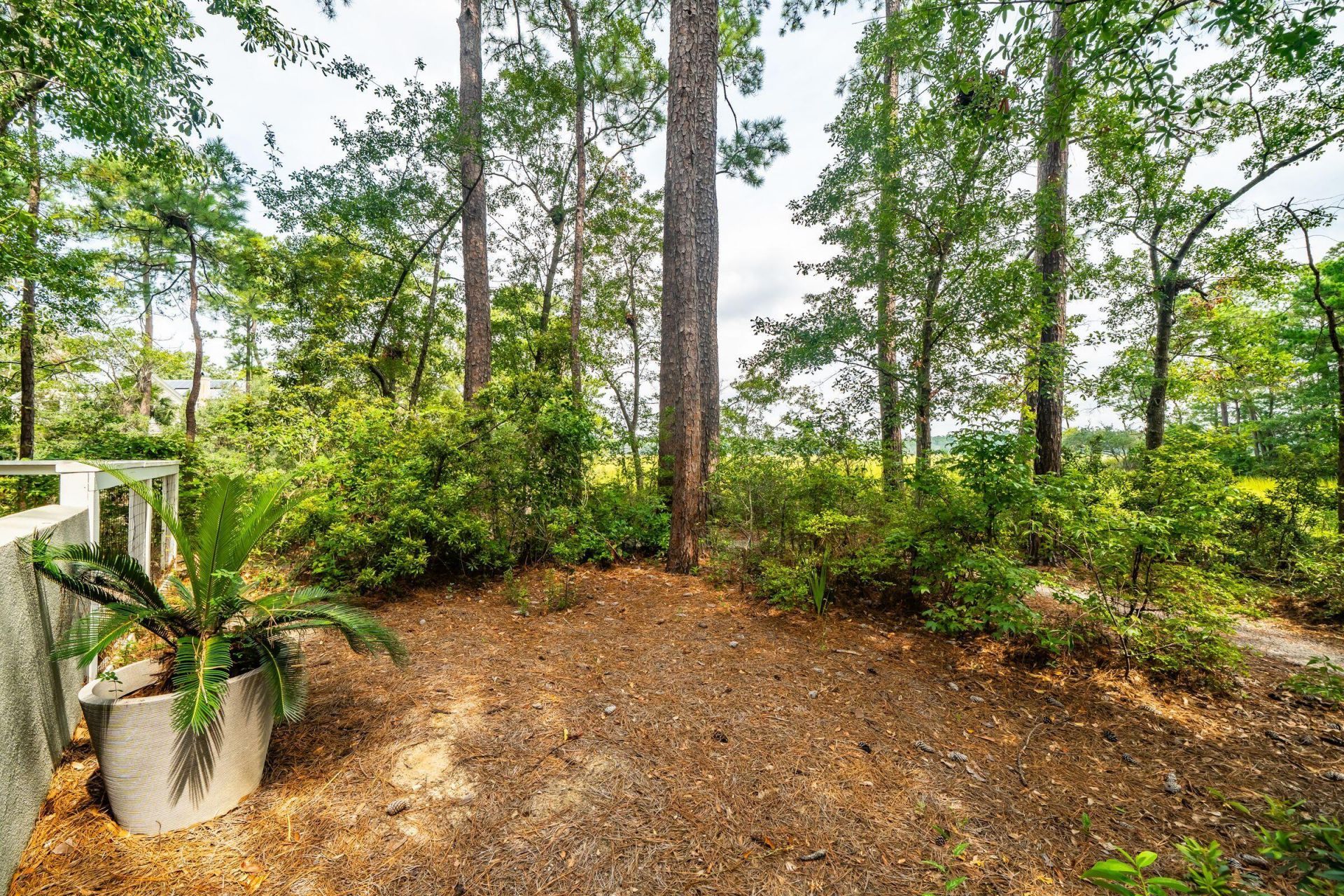 47 Robert Mills Circle Photo 127
