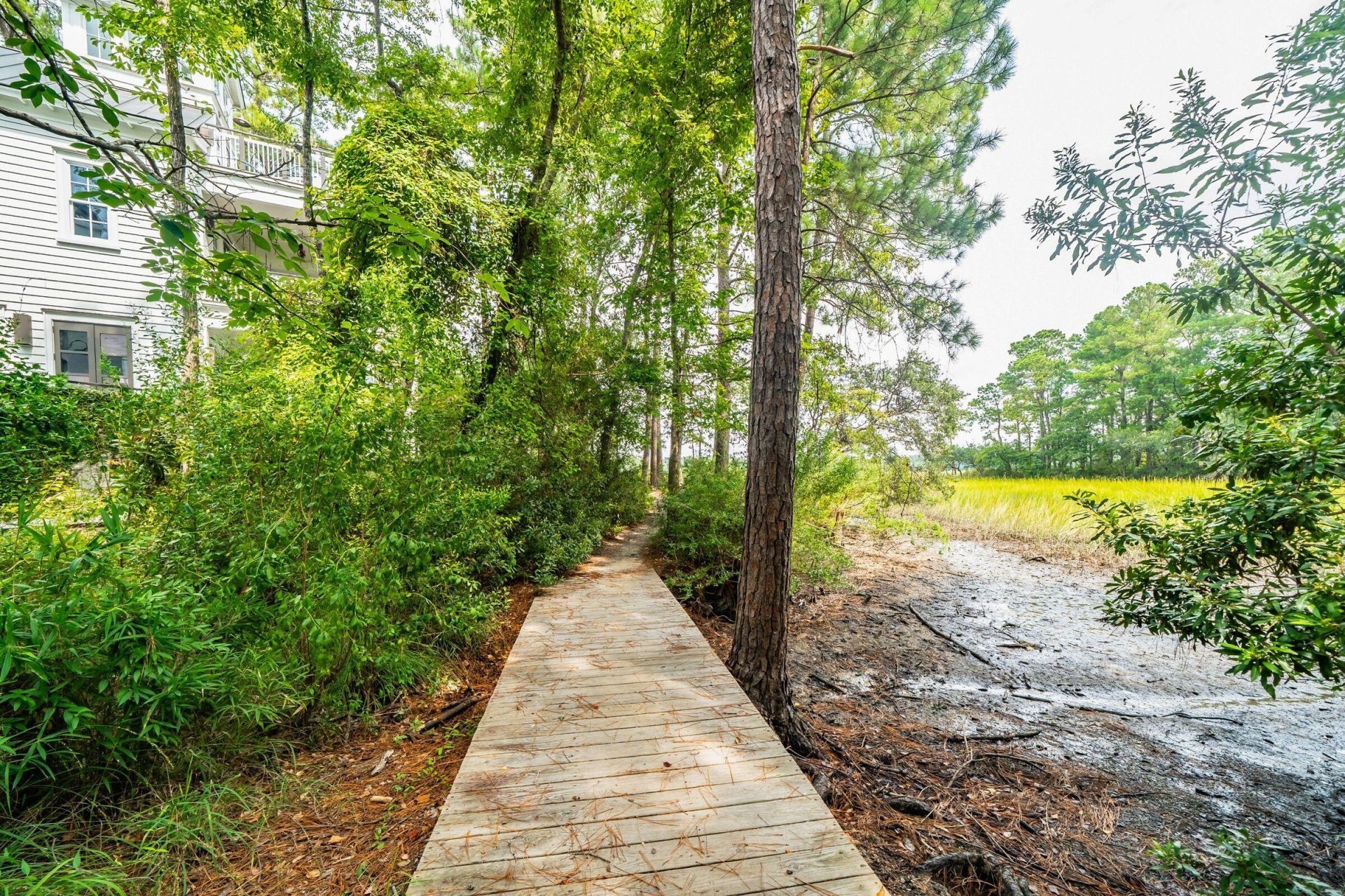 47 Robert Mills Circle Photo 131