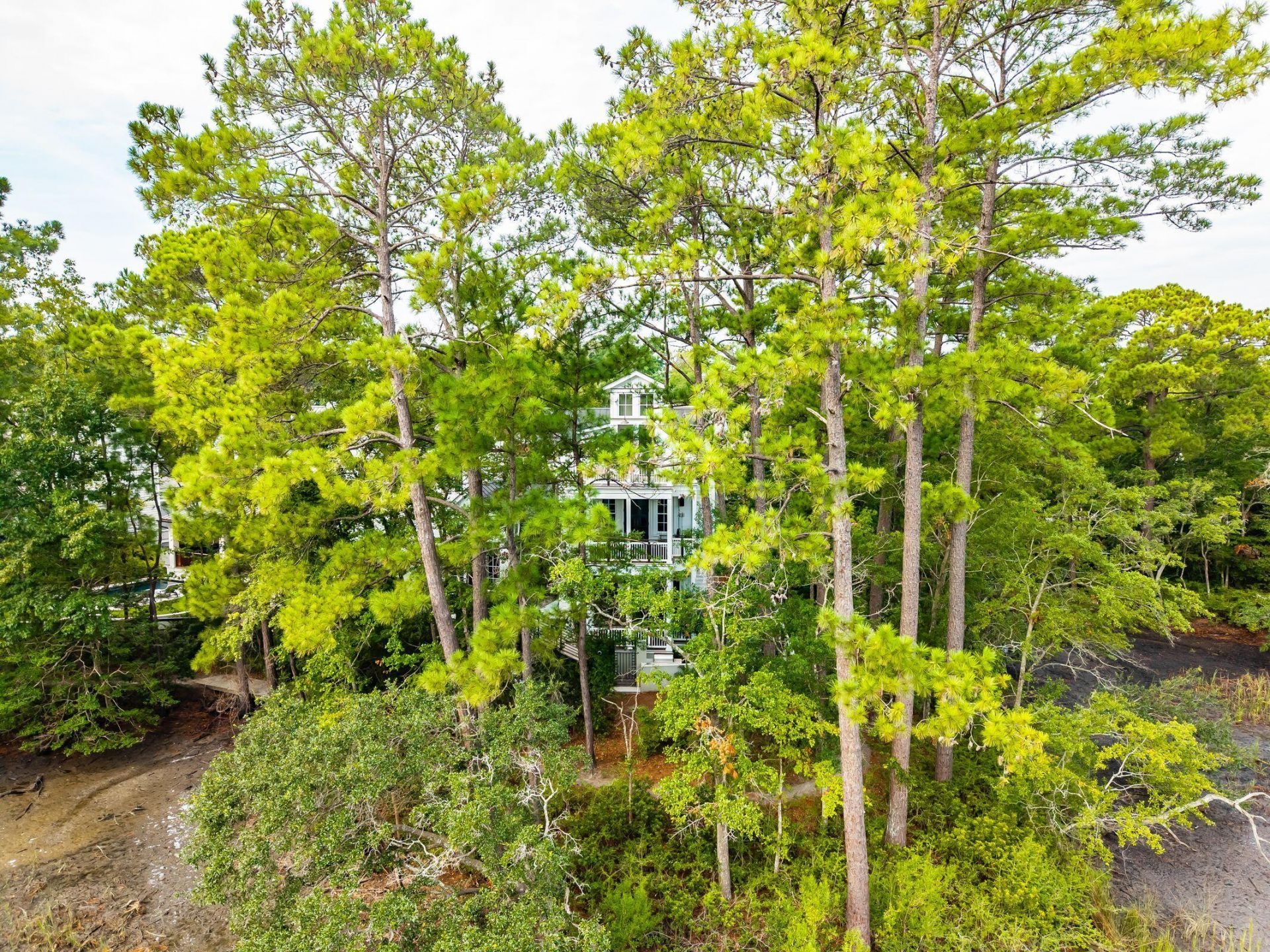 47 Robert Mills Circle Photo 140