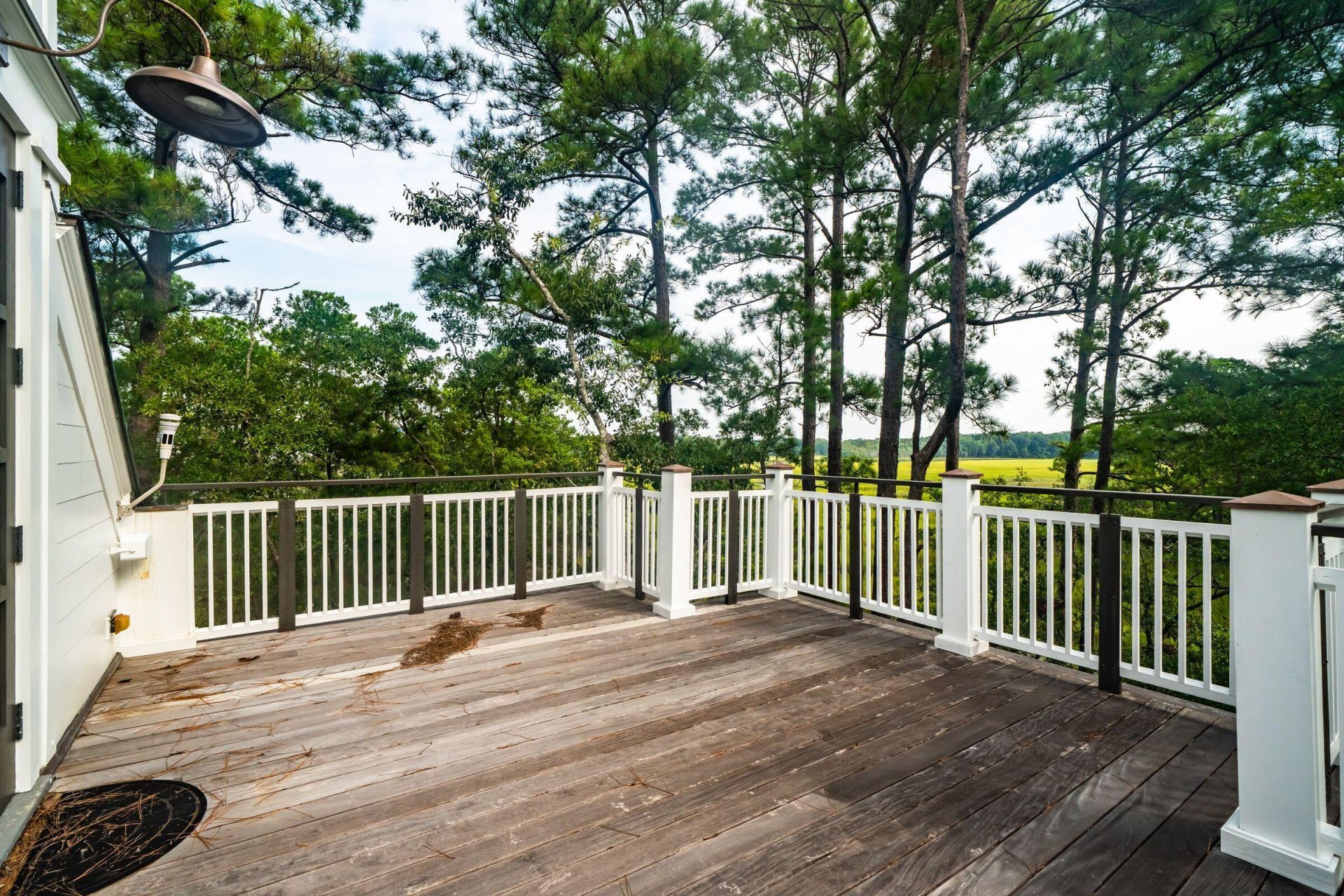 47 Robert Mills Circle Photo 98