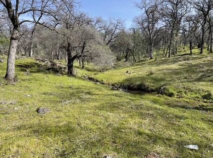 Hammonton-smartsville, Smartville, CA 95977 Photo