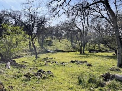 Hammonton-smartsville, Smartville, CA 95977 Photo
