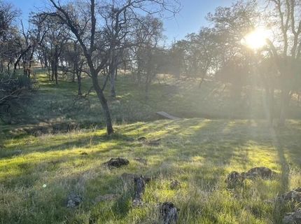 Hammonton-smartsville, Smartville, CA 95977 Photo