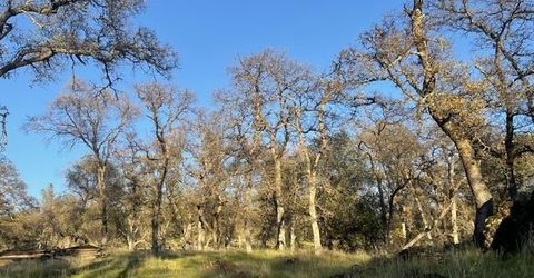 Hammonton-smartsville, Smartville, CA 95977 Photo