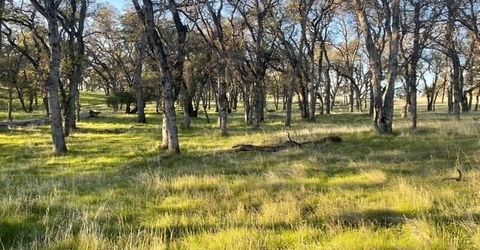Hammonton-smartsville, Smartville, CA 95977 Photo