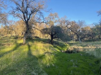 Hammonton-smartsville, Smartville, CA 95977 Photo
