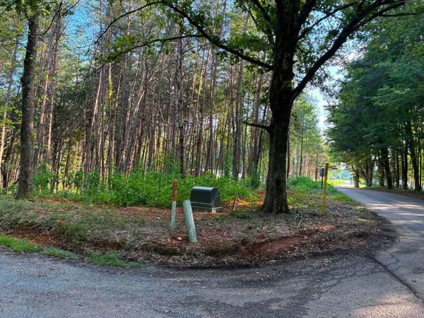 100 County Road 262 Lot 4 , Niota, TN 37826