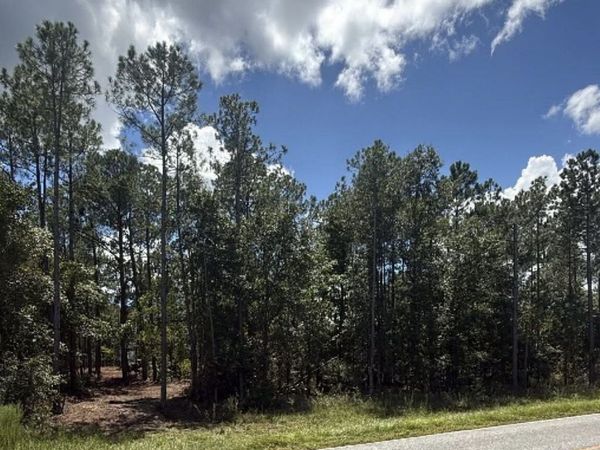 0 Fountain Road, Eastman, GA 31023