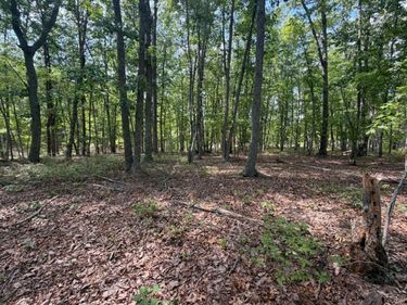 0 Bent Creek Lot 1, Concord, VA 24538