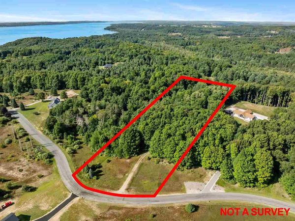 TBD Alden Meadows Drive, Alden, MI 49612