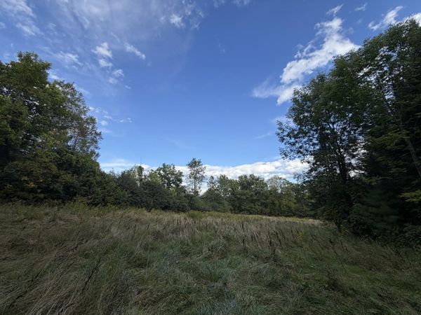 7 Zoe Lane, Unit 4, Charlotte, VT 05445