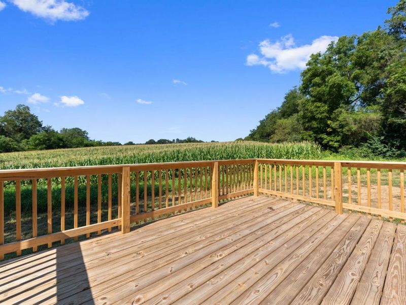 573 Hackleshin Road, Peebles, OH 45660 Photo 11