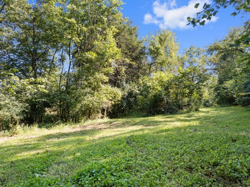 573 Hackleshin Road, Peebles, OH 45660 Photo 34
