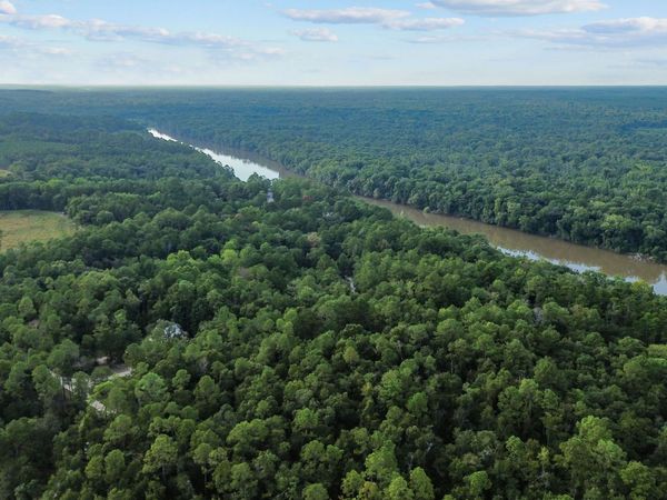 LOT 18 Red Oak Drive, Jesup, GA 31545